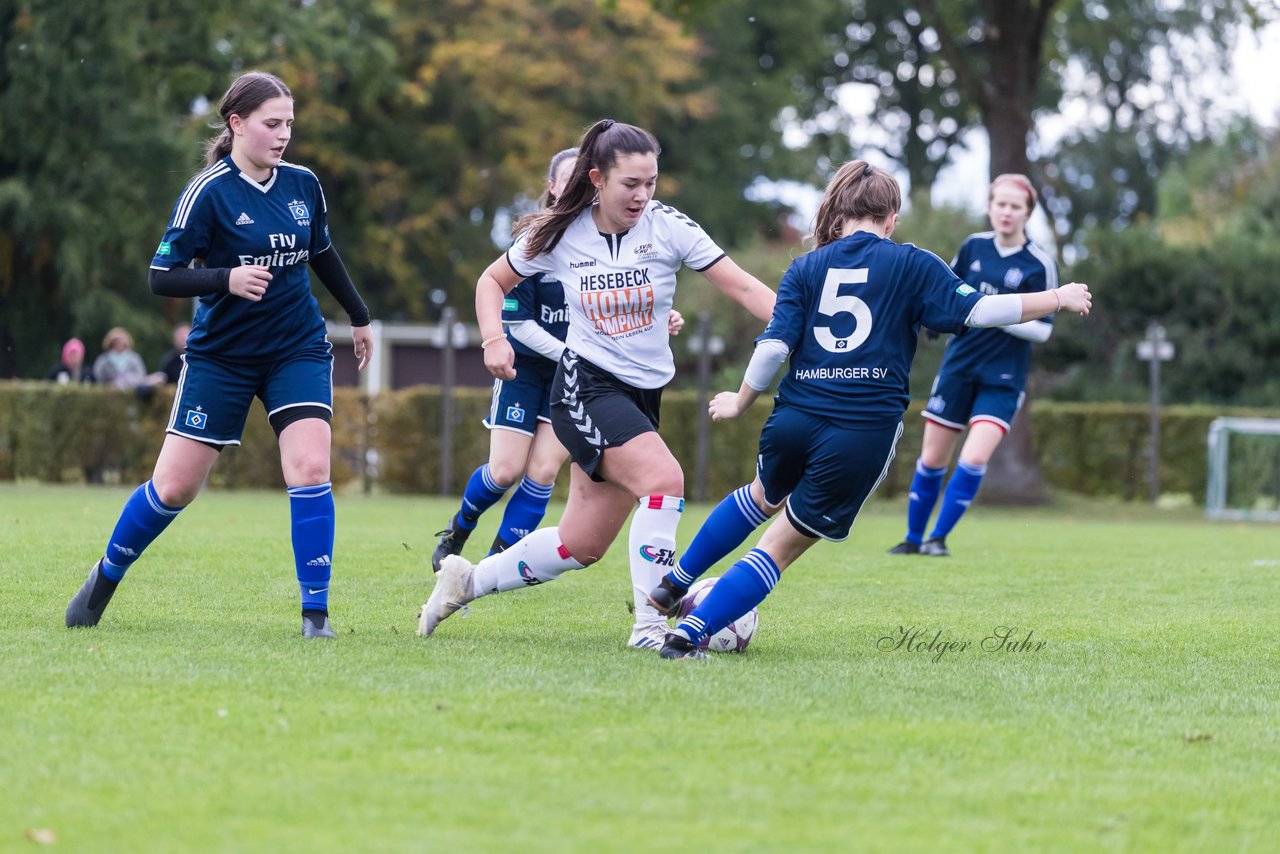 Bild 118 - B-Juniorinnen SV Henstedt Ulzburg - Hamburger SV : Ergebnis: 2:3